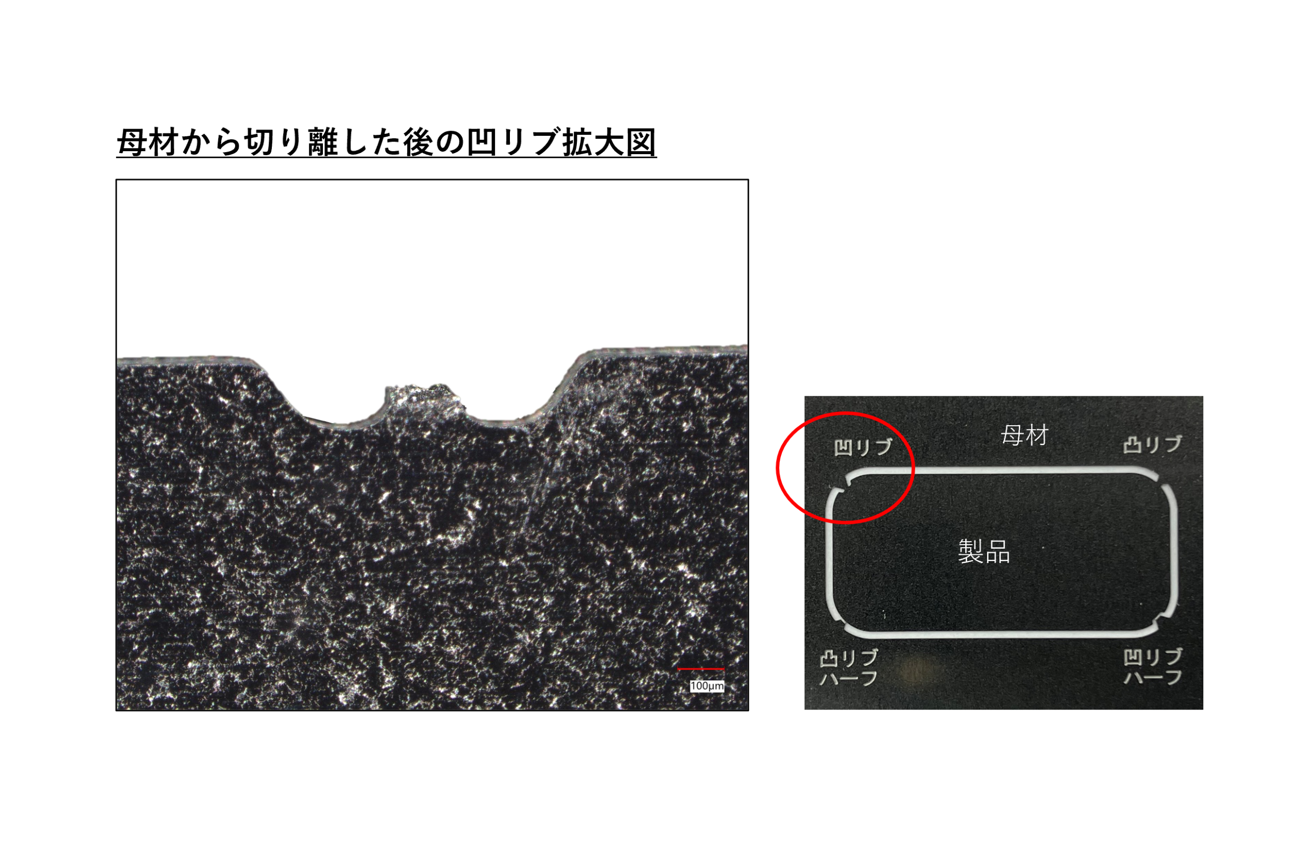 リブ(製品つなぎ部分)について