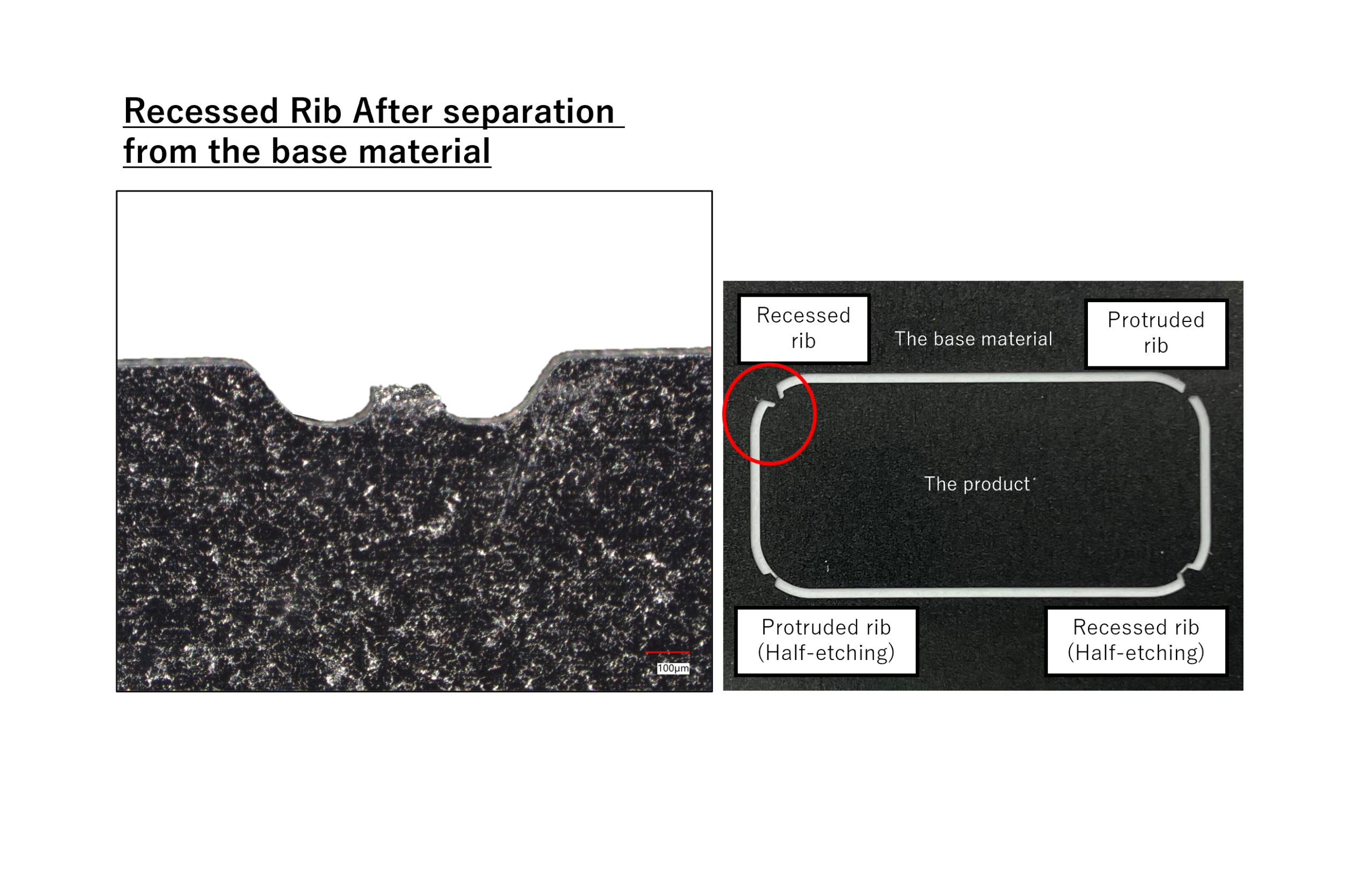 Rib (Joint section of the products)